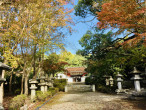Tsuboi Hachimangu (Habikino, Japan)