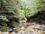 Upstream of Nachi Falls (Nachikatsuura, Japan)