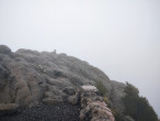 Mt. Ishizuchi (Saijo, Japan)