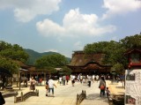 Dazaifu Tenmangu (Fukuoka, Japan)