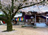 Ikoji temple (Yoshinogawa, Japan)