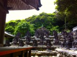 Kongofukuji temple (Tosashimizu, Japan)