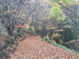 Mt. Ishizuchi (Saijo, Japan)