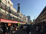 Tsukiji Market (Tokyo, Japan)