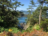 Goishi Beach (Ofunato, Japan)