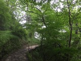 Ishizuchi Shrine Jojusha (Saijo, Japan)