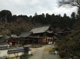 Okadera Temple (Asukamura, Japan)