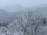 Yoshino (Nara, Japan)