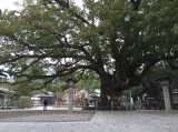 Oasahiko Shrine (Naruto, Japan)