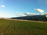 along a way to Ishizuchi Shrine, Saijo JAPAN