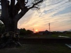 Sadasue Yasaka Shrine (Yoshinogawa, Japan)