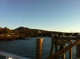 Rangitoto Island (New Zealand)