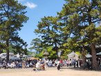 善通寺金堂（香川県善通寺市）