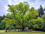 熊野本宮大社大斎原（和歌山県田辺市）