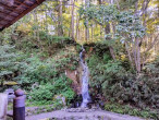戸隠神社中社（長野県長野市）