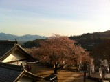 醫光寺(徳島県吉野川市)