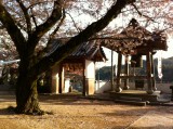 醫光寺(徳島県吉野川市)