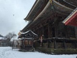 金峯山寺 蔵王堂（奈良県吉野町）