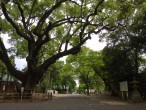 伊曽乃神社（愛媛県西条市）