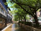 高瀬川（京都府京都市）