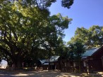 伊曽乃神社（愛媛県西条市）