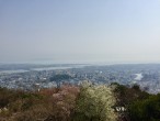 眉山（徳島県徳島市）