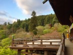 長谷寺（奈良県桜井市）