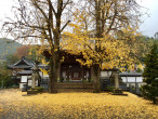 真光寺（愛媛県新居浜市）